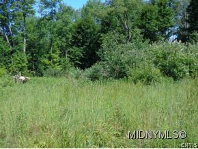 0 Williams Road Remsen, NY 13438 - Photo 1 of 1 Gallery Image 1