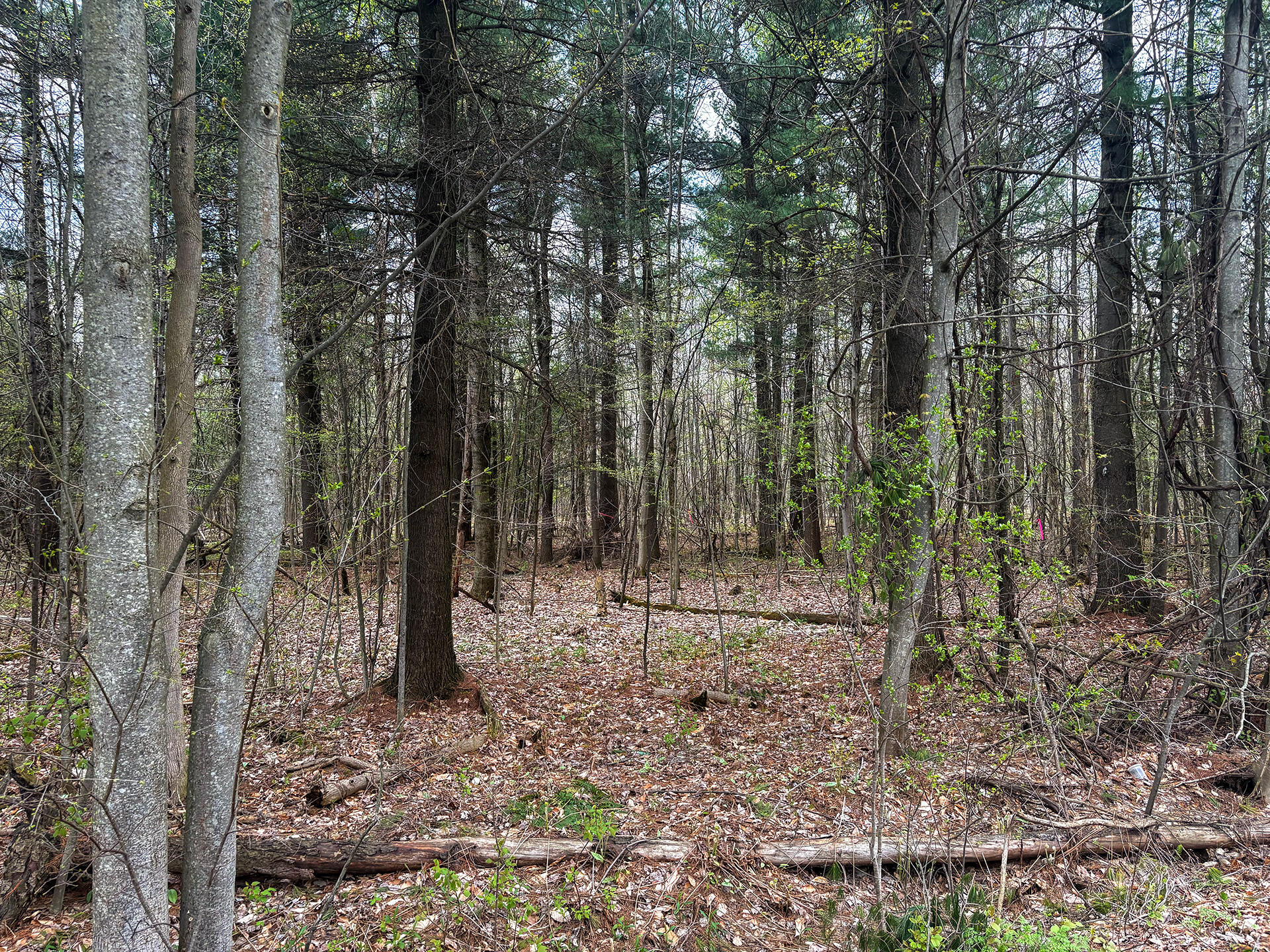 0 Callahan Road Burke, NY 12917 - Photo 12 of 14