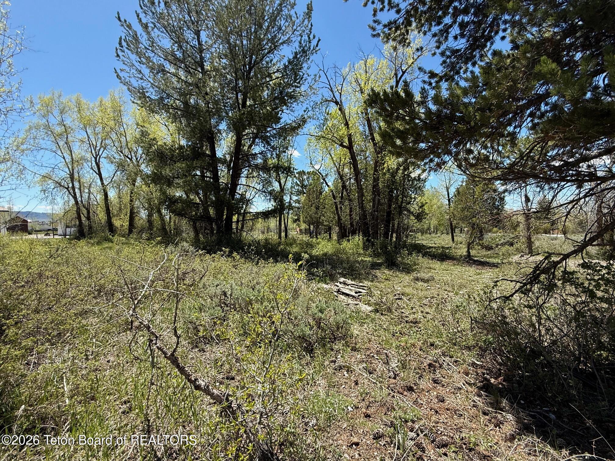 Lot 161 Paintbrush Court Star Valley Ranch, WY 83127 - Photo 2 of 8 IMG_3887