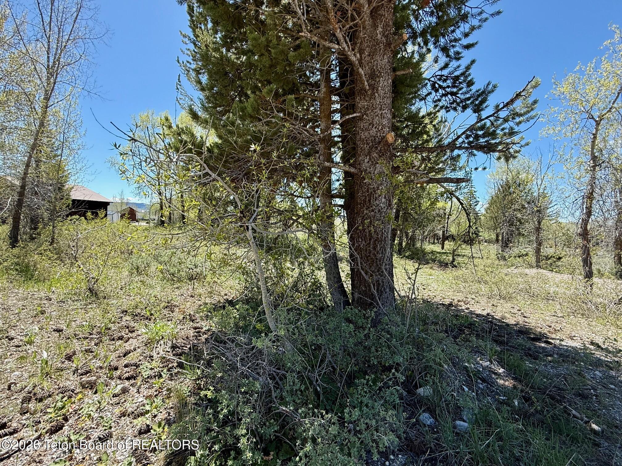 Lot 161 Paintbrush Court Star Valley Ranch, WY 83127 - Photo 3 of 8 IMG_3886