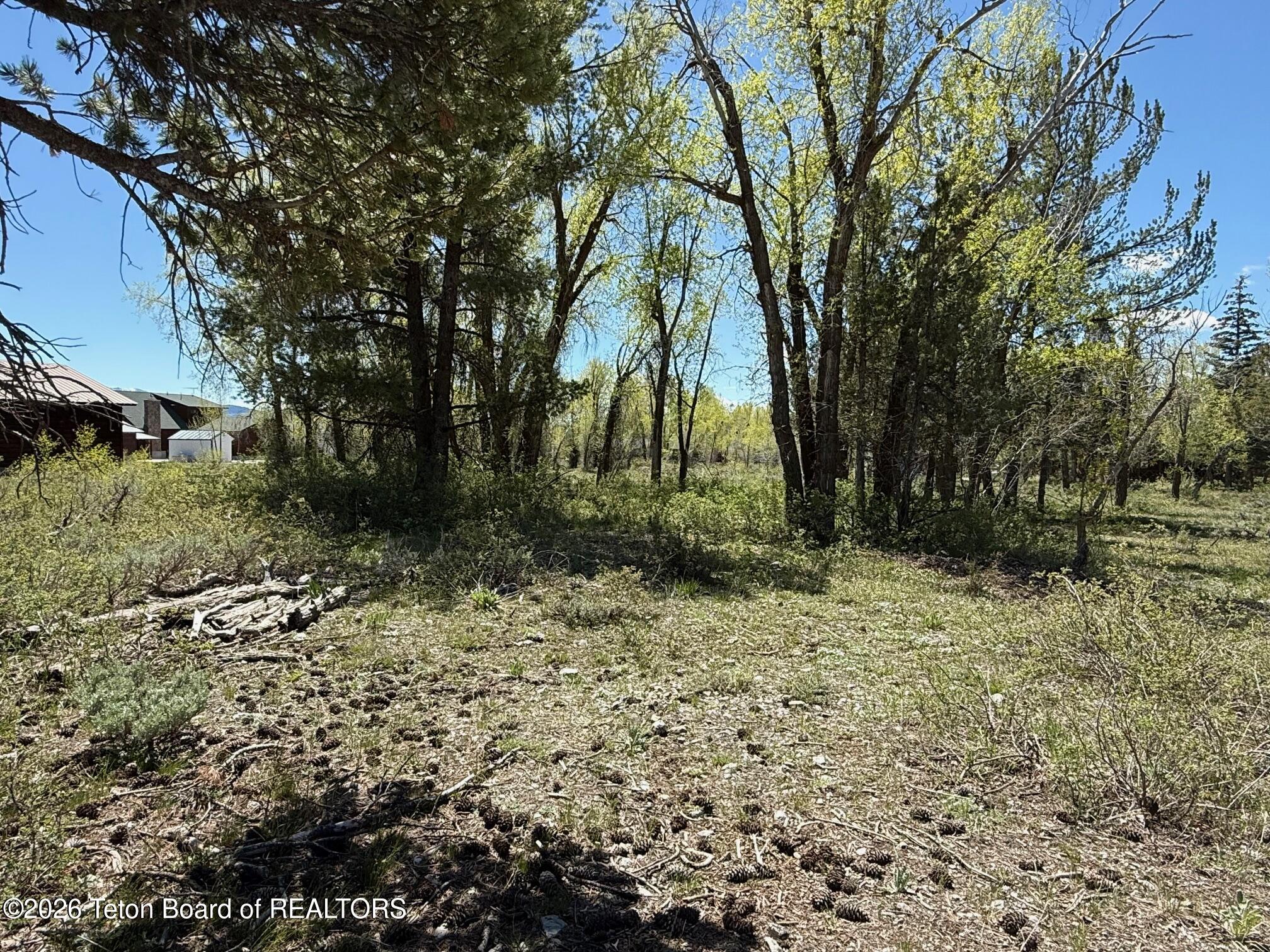 Lot 161 Paintbrush Court Star Valley Ranch, WY 83127 - Photo 5 of 8 IMG_3883