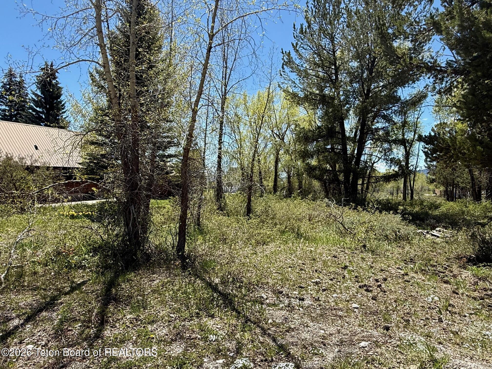 Lot 161 Paintbrush Court Star Valley Ranch, WY 83127 - Photo 6 of 8 IMG_3882