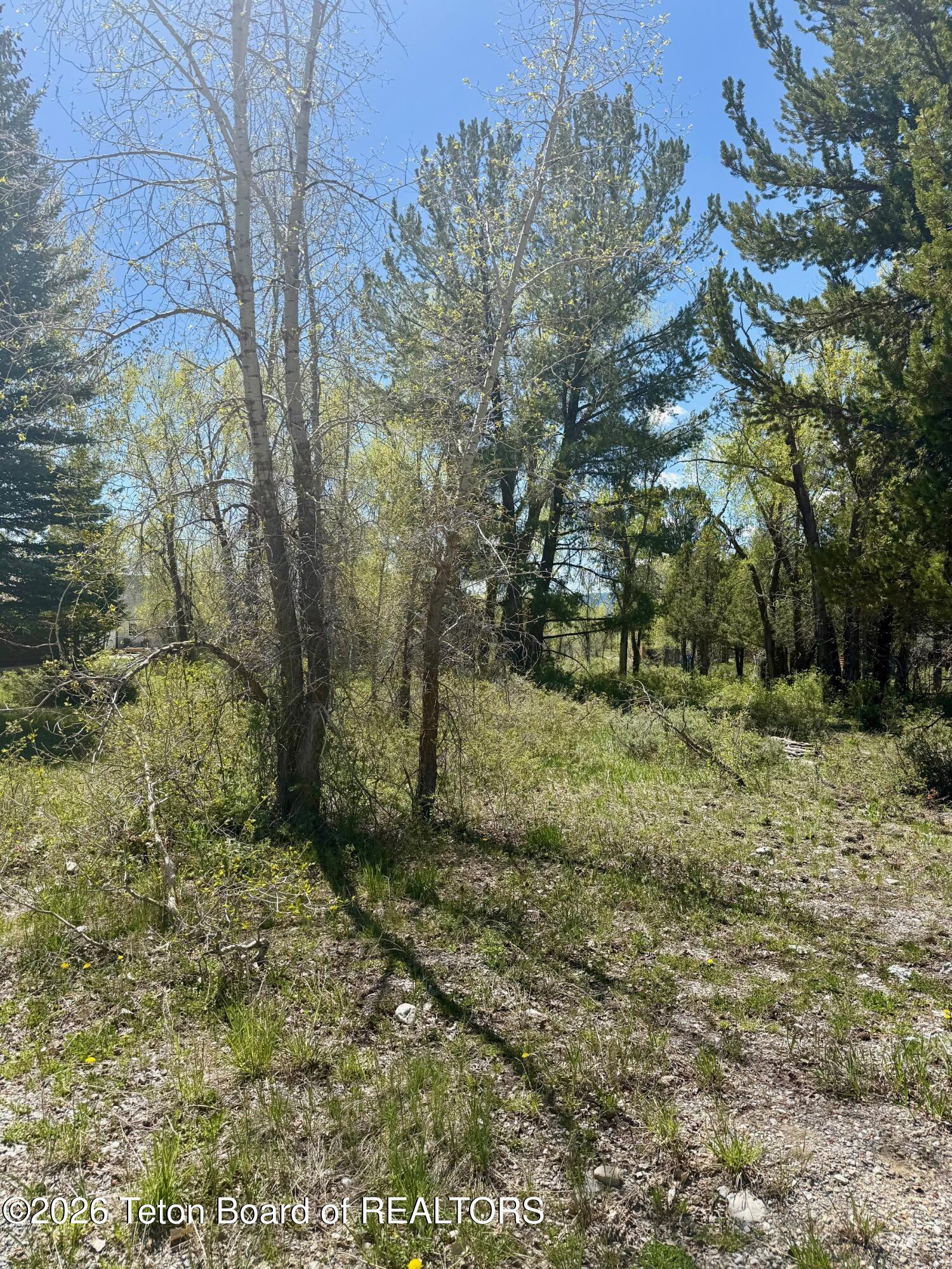 Lot 161 Paintbrush Court Star Valley Ranch, WY 83127 - Photo 7 of 8 IMG_3881