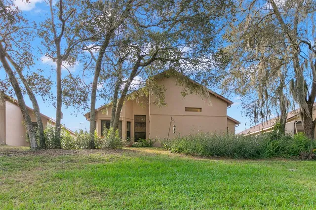 a backyard of a house with plants and large tree