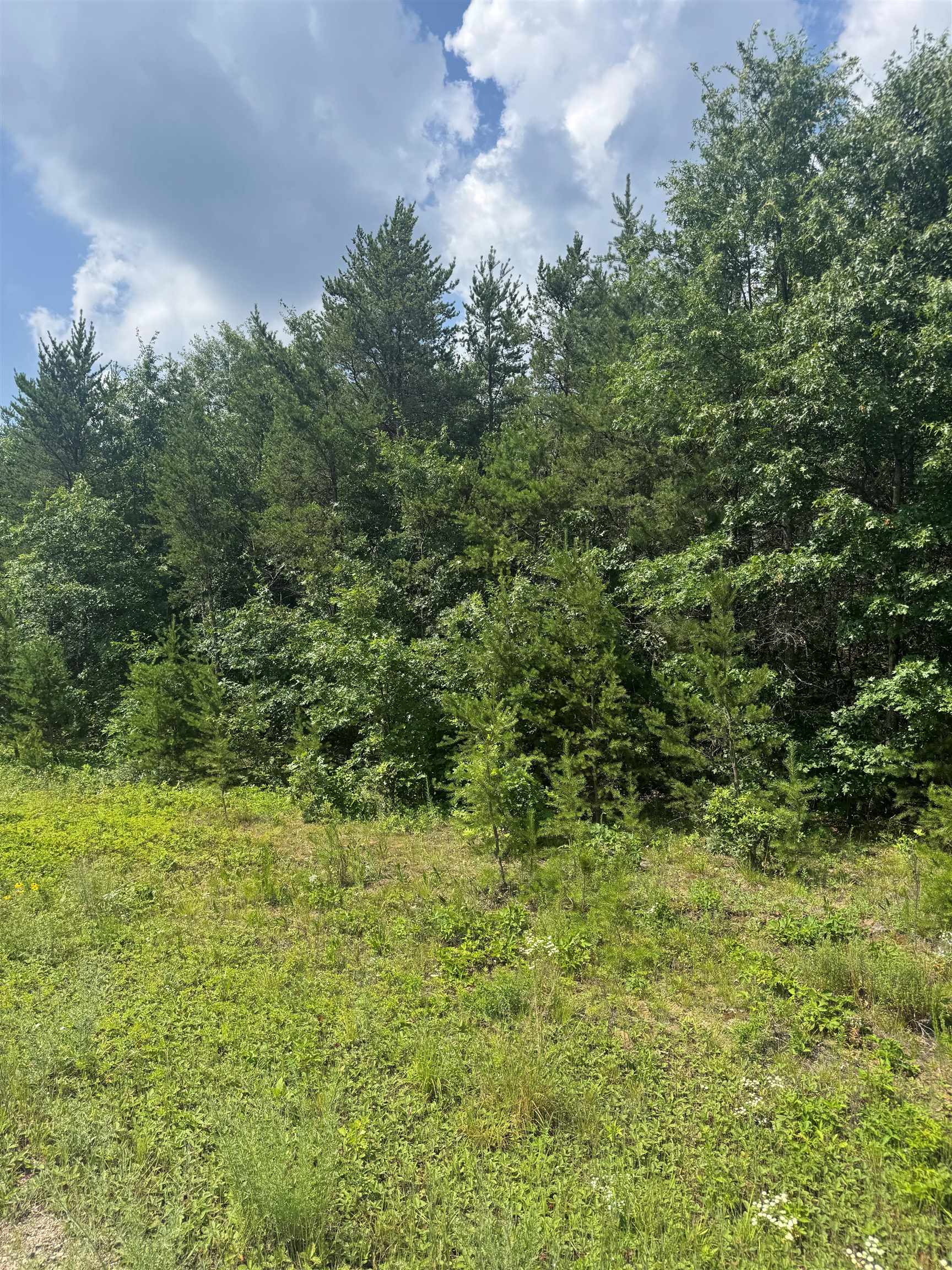 Lot 30 Red Tail Hawk Drive Stevens Point, WI 54482 - Photo 2 of 2