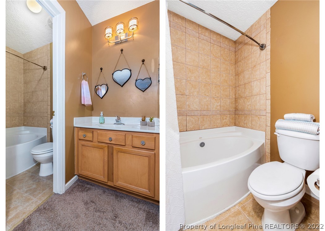 1070 Roundabout Road Cameron, NC 28326 - Photo 23 of 34 a bathroom with a bathtub sink mirror vanity and toilet