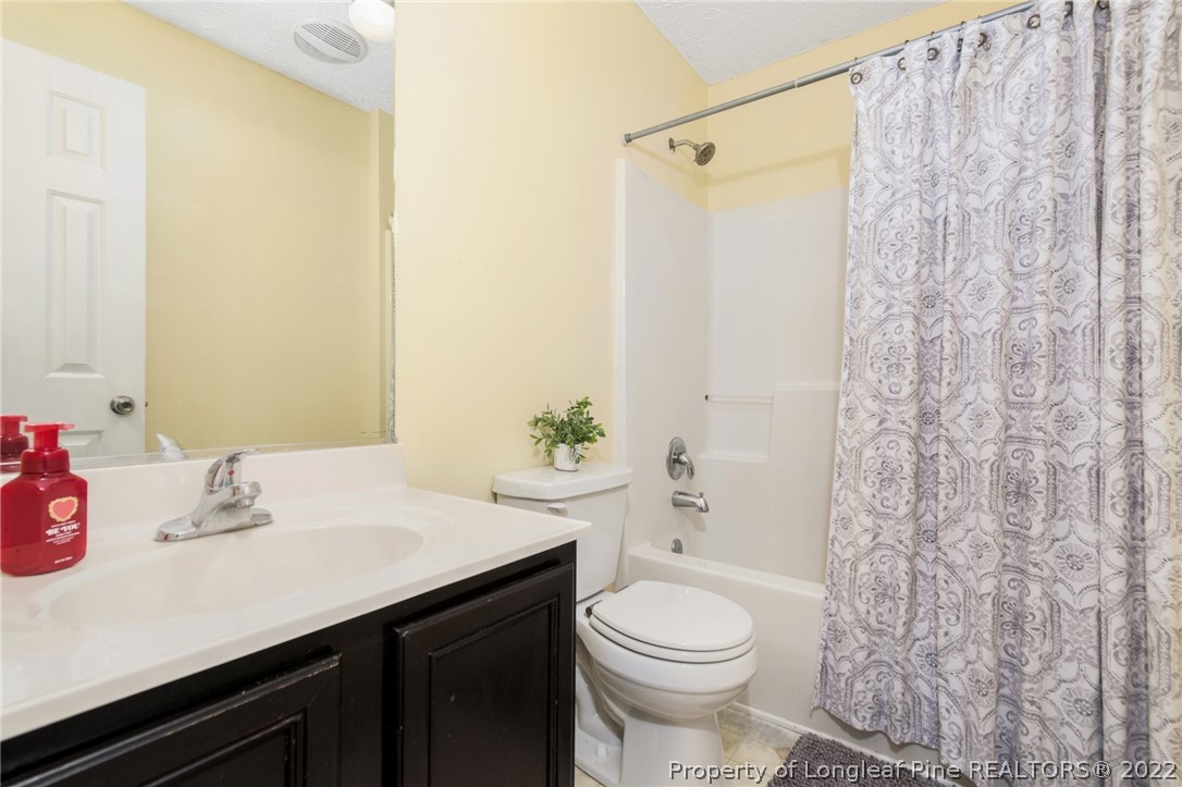 1070 Roundabout Road Cameron, NC 28326 - Photo 26 of 34 a bathroom with a sink a toilet and shower curtain