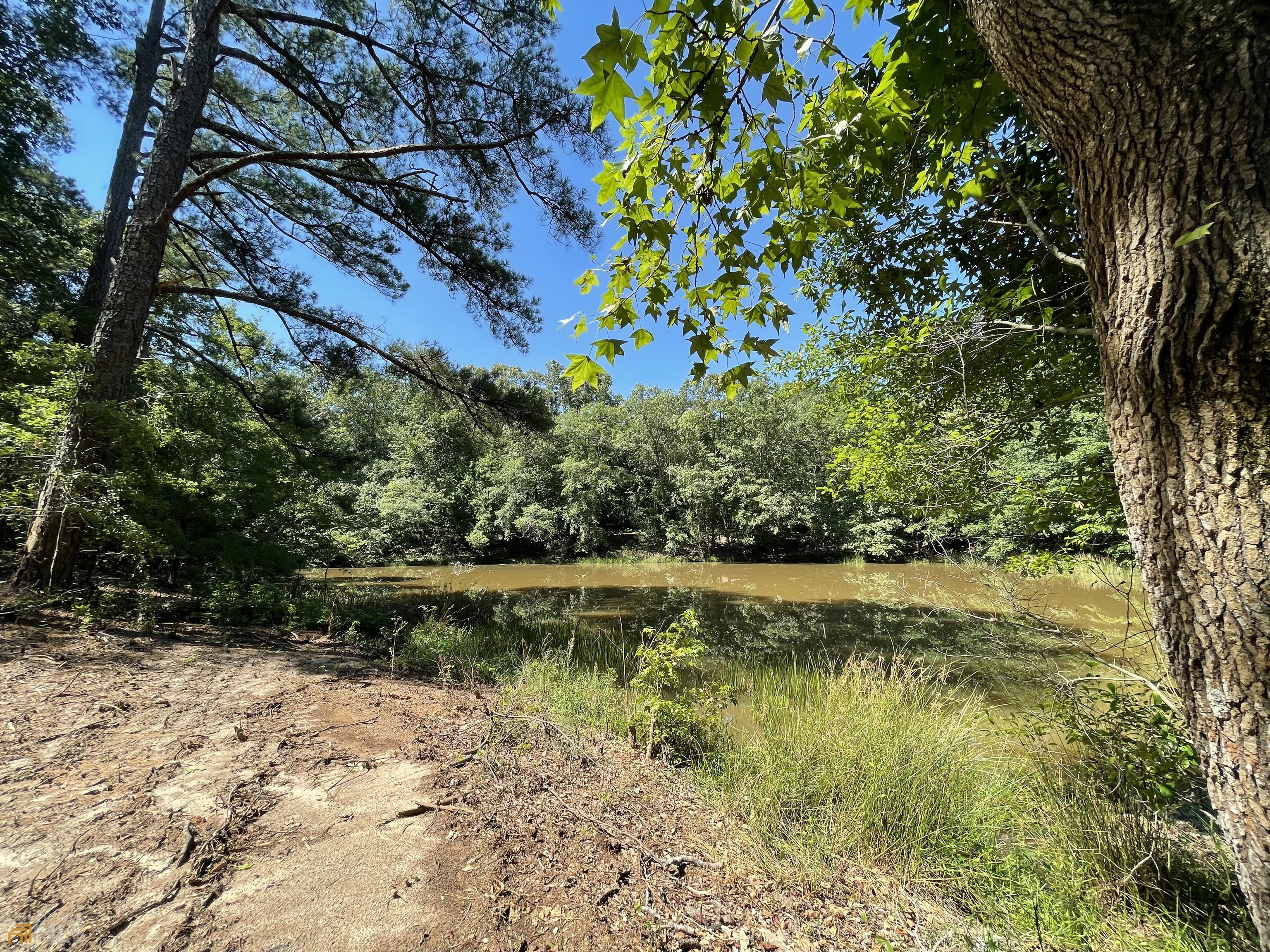 482-tract A Scott Mill Road Hartwell, GA 30643 - Photo 1 of 1 Gallery Image 1