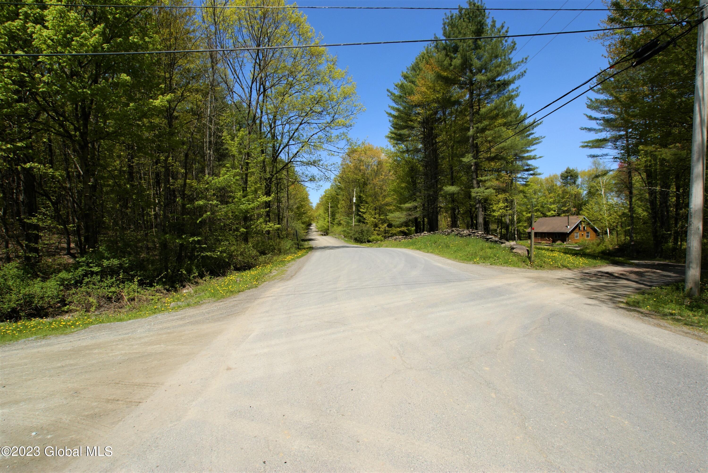 L14.8 Hills Pond Road Whitehall, NY 12887 - Photo 11 of 12 Mooney out (35)
