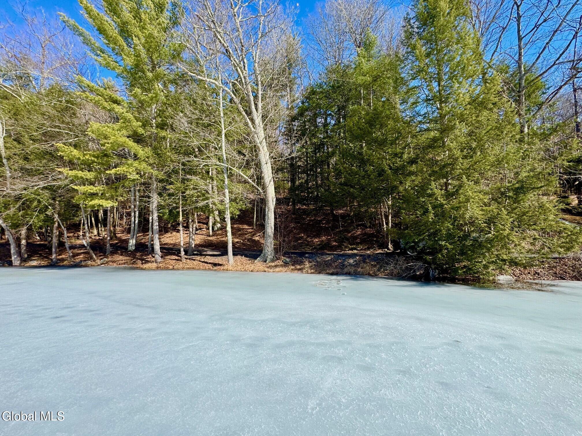 L14.8 Hills Pond Road Whitehall, NY 12887 - Photo 2 of 12 Mooney 7