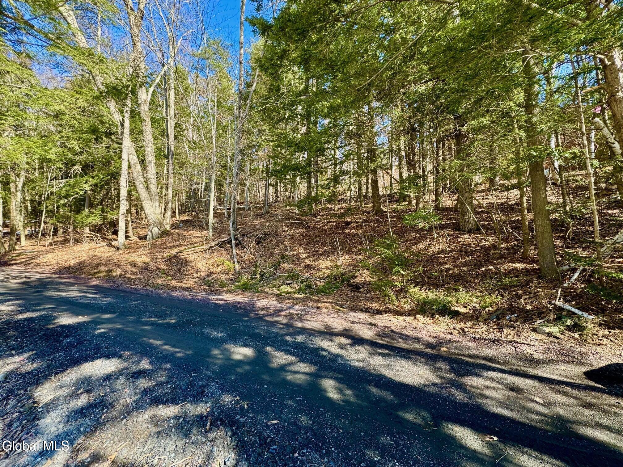 L14.8 Hills Pond Road Whitehall, NY 12887 - Photo 4 of 12 Mooney 4