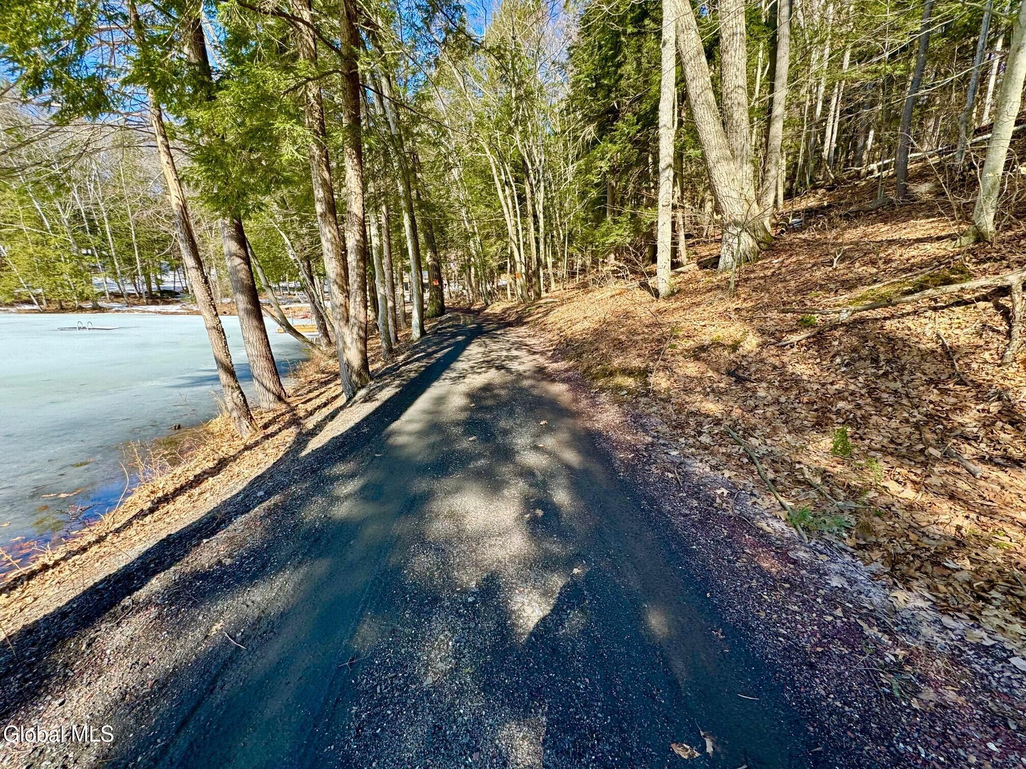 L14.8 Hills Pond Road Whitehall, NY 12887 - Photo 5 of 12 Mooney 8