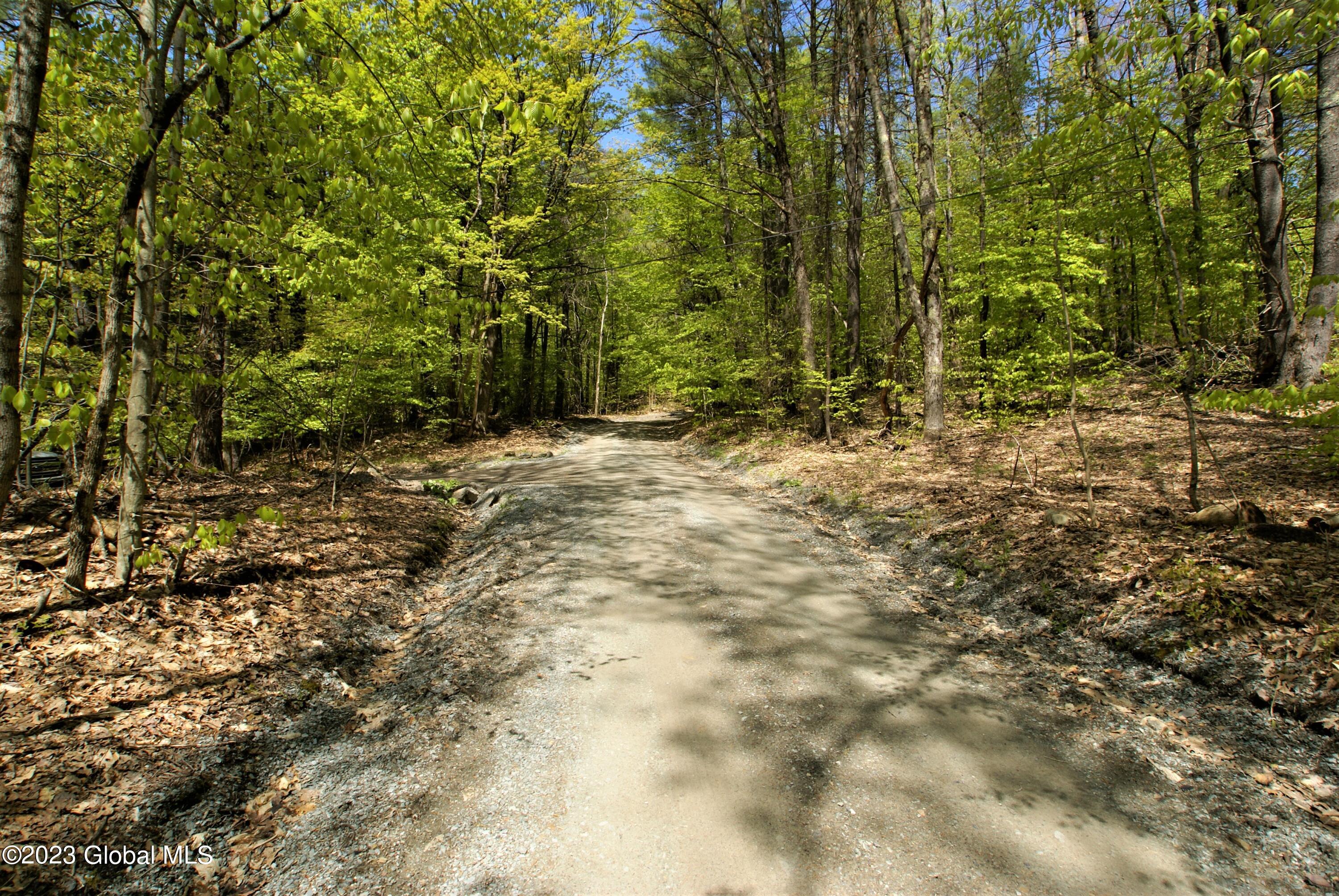 L14.8 Hills Pond Road Whitehall, NY 12887 - Photo 8 of 12 Mooney out (32)