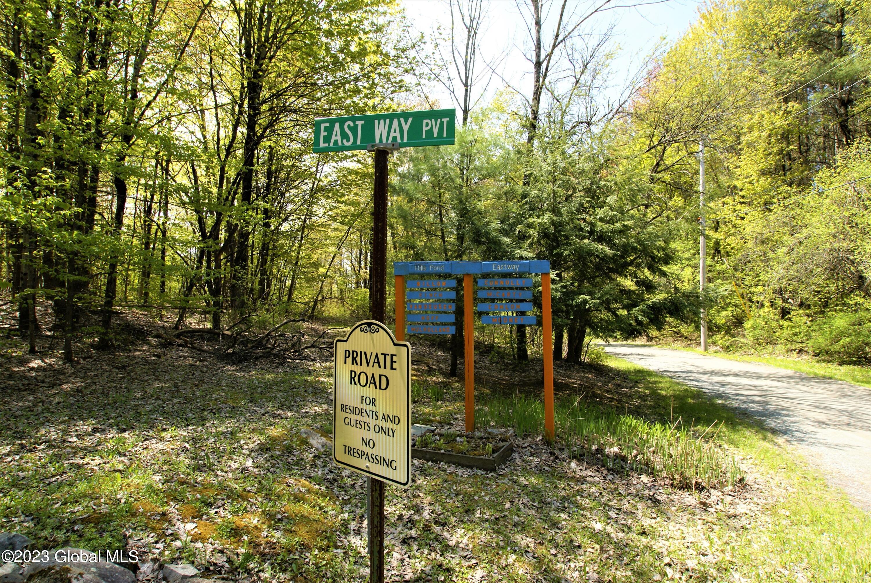 L14.8 Hills Pond Road Whitehall, NY 12887 - Photo 10 of 12 Mooney out (34)