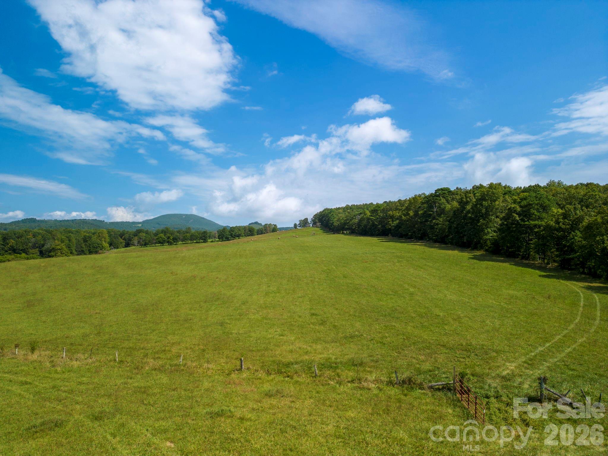 Tbd Summer Road, Unit 2 Hendersonville, NC 28792 - Photo 3 of 34 Gallery Image 3