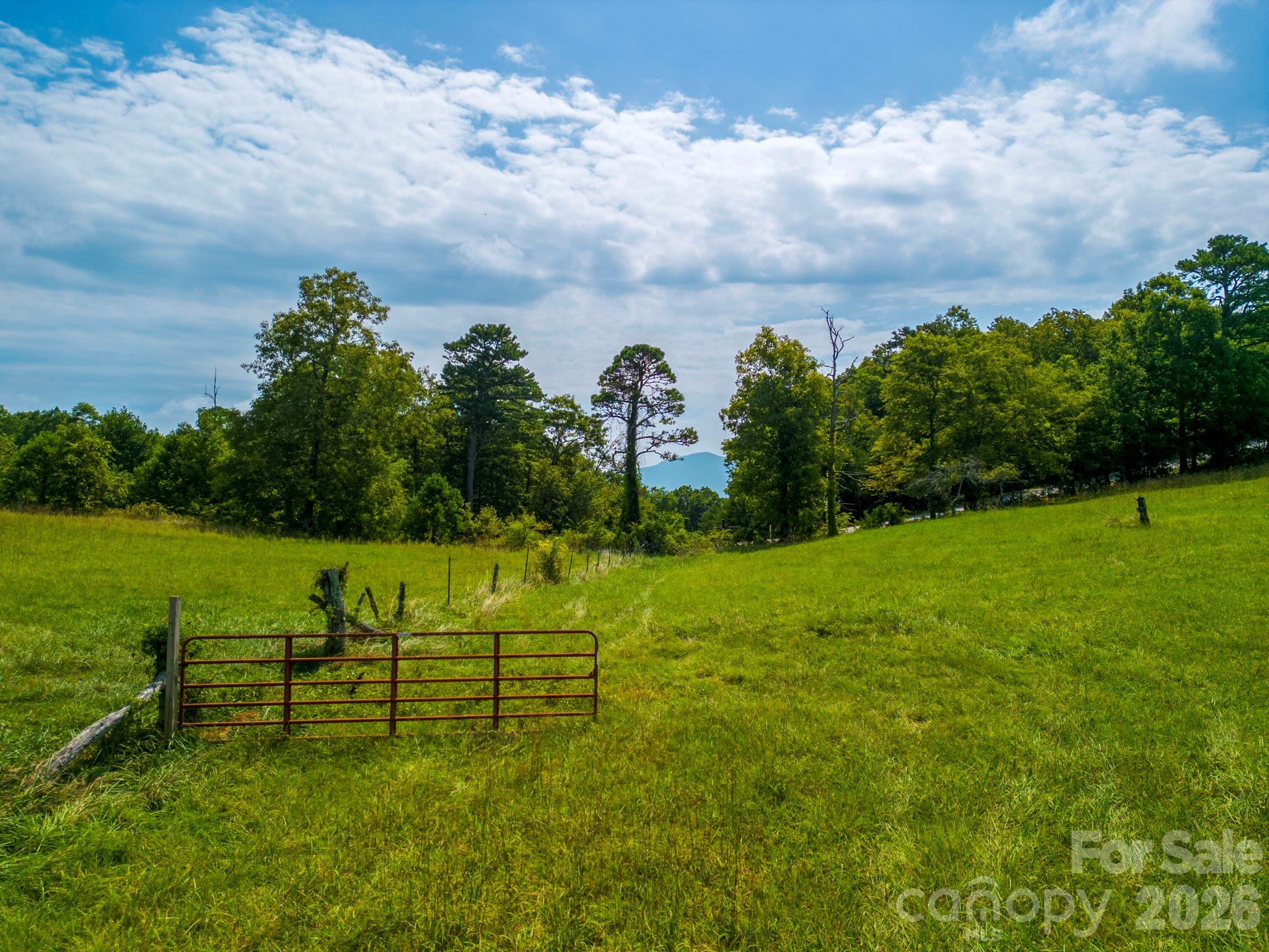 Tbd Summer Road, Unit 2 Hendersonville, NC 28792 - Photo 4 of 34 Gallery Image 4