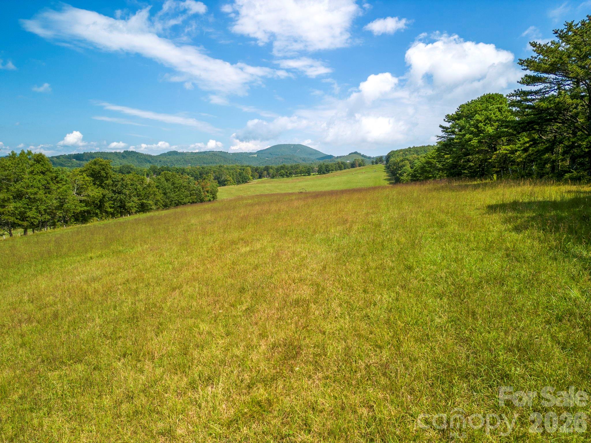 Tbd Summer Road, Unit 2 Hendersonville, NC 28792 - Photo 5 of 34 Gallery Image 5