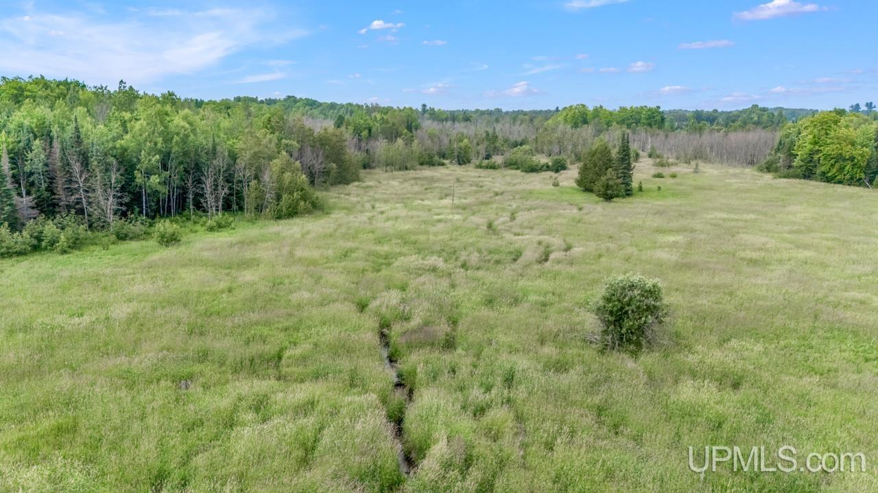 Tbd Tbd Delta Menominee C Road Bark River, MI 49807 - Photo 7 of 13