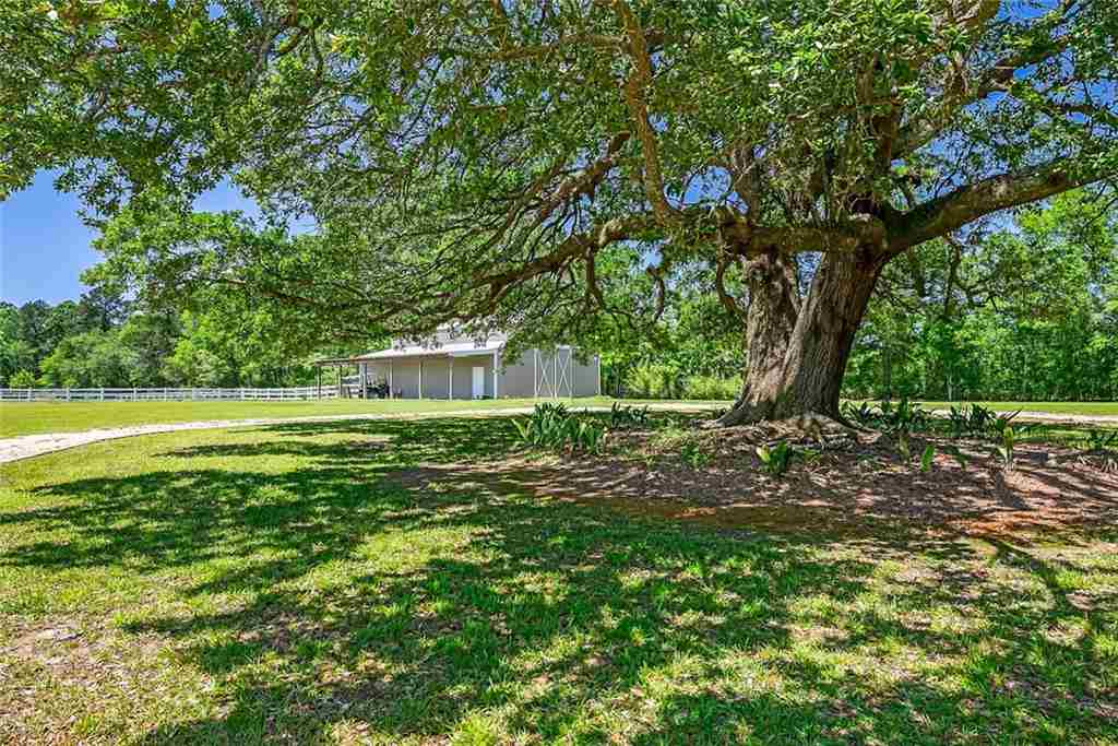 78541 Church Road Folsom, LA 70437 - Photo 33 of 37 Gallery Image 33