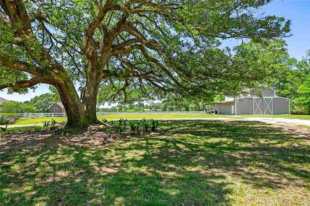 78541 Church Road Folsom, LA 70437 - Photo 34 of 37 Gallery Image 34
