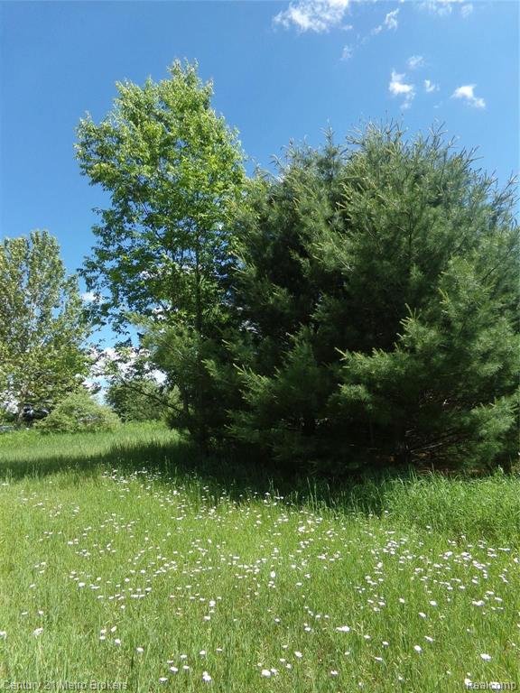 8944 Shippy Road Southwest Fife Lake, MI 49633 - Photo 28 of 32