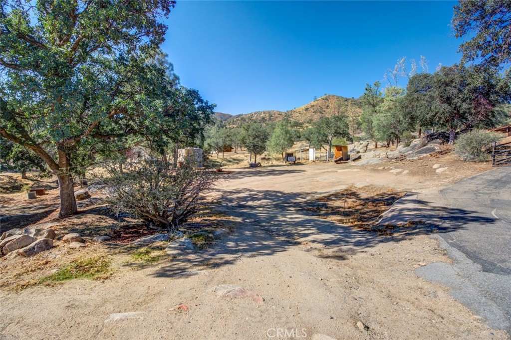 245 Mountain Shadow Road Wofford Heights, CA 93285 - Photo 45 of 72 a view of a yard with a tree