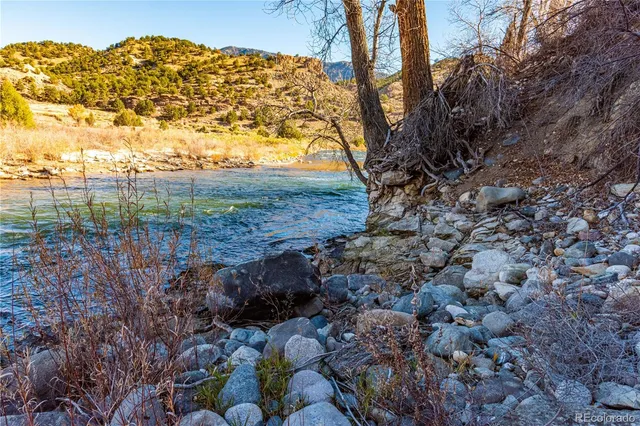 a view of a dry yard