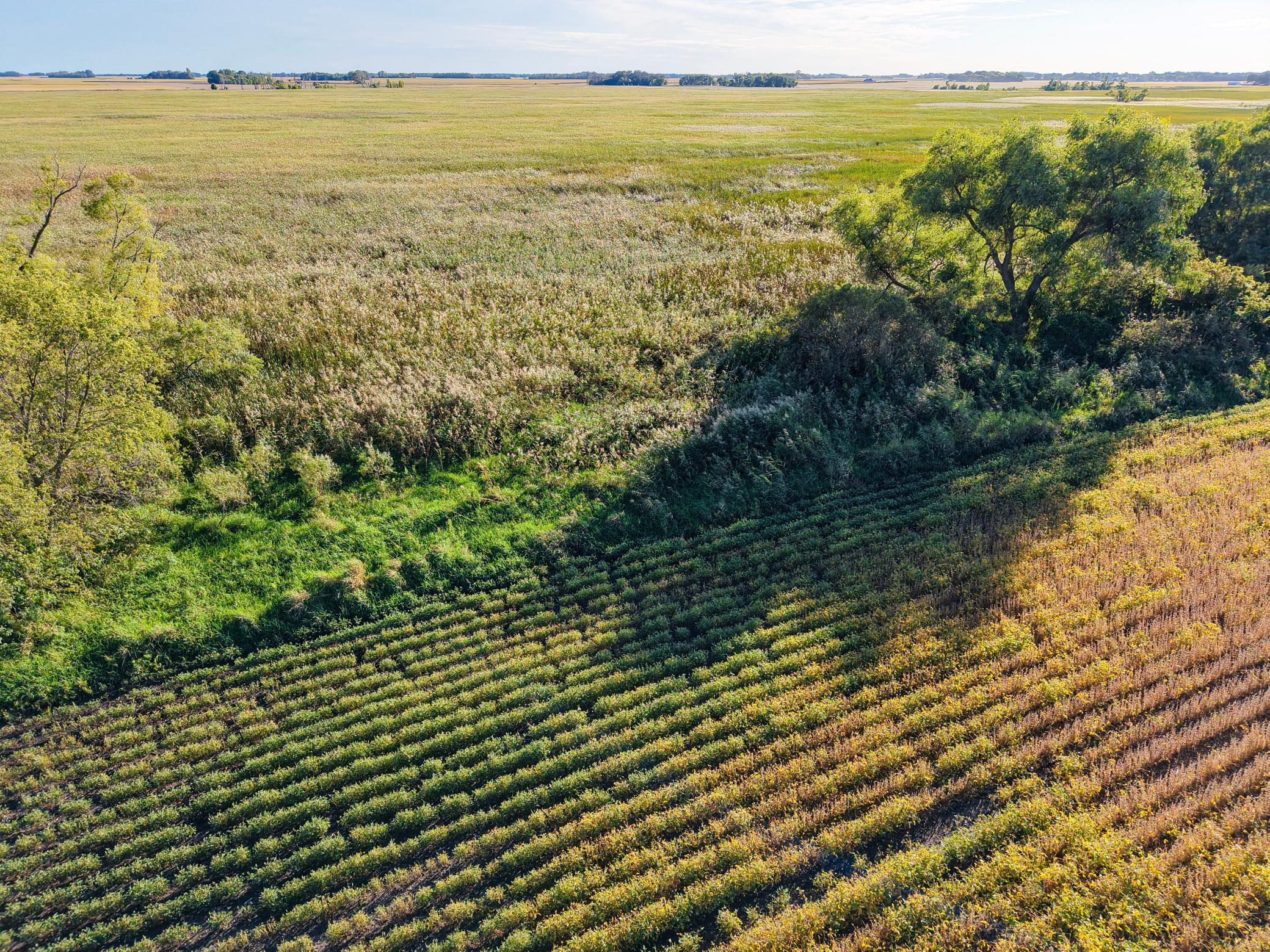 0 State Highway Nicollet, MN 56074 - Photo 28 of 37 Gallery Image 28