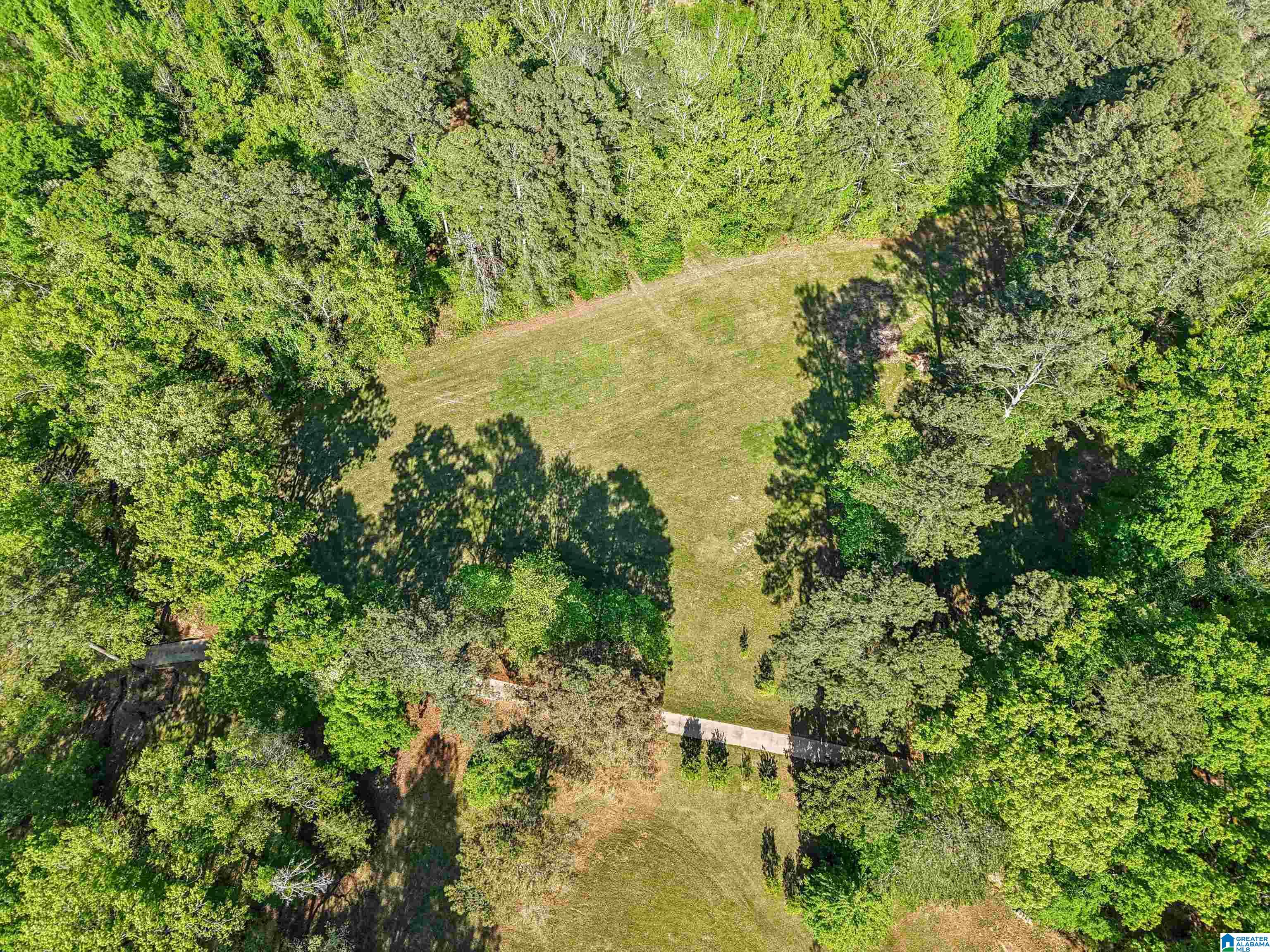 1680 Highway 174 Springville, AL 35146 - Photo 24 of 97