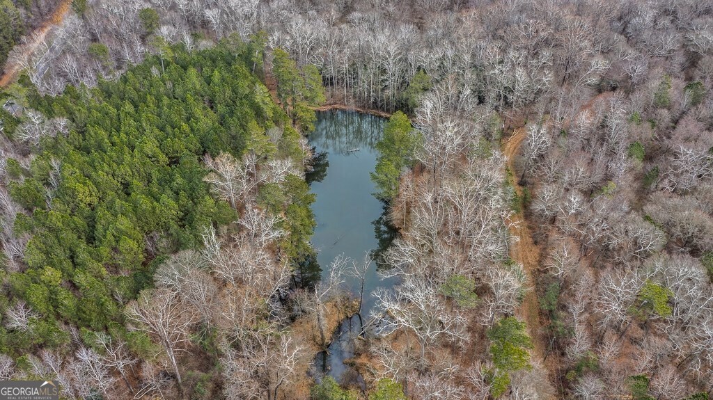 210 Hull Road Athens, GA 30601 - Photo 9 of 9 a view of a lake with large trees