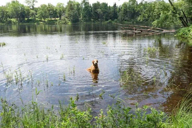 $65,000 | 16 Map, Mattawamkeag, ME 04459