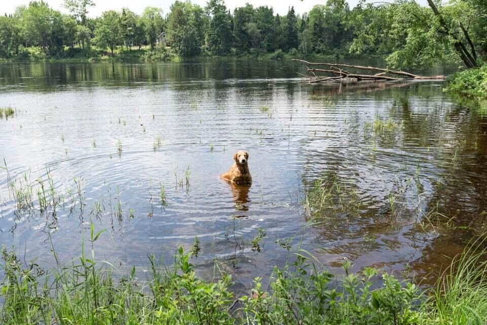16 Map Mattawamkeag, ME 04459 - Photo 2 of 18 20240719210605921018000000-o