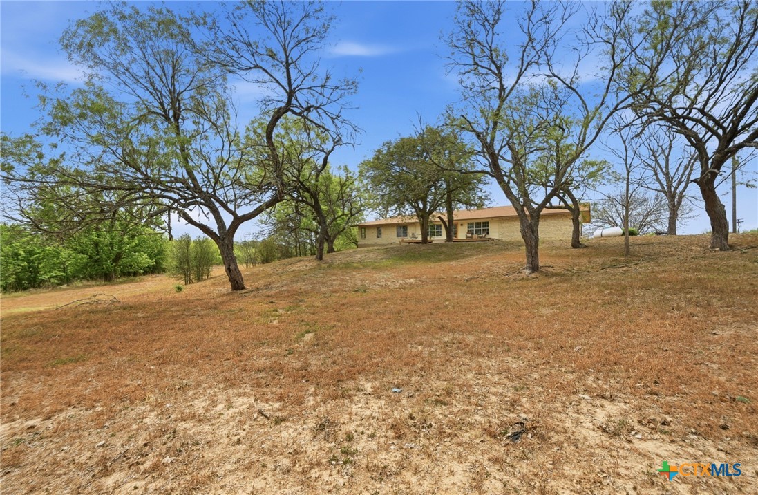 3500 Scull Road Martindale, TX 78655 - Photo 38 of 43
