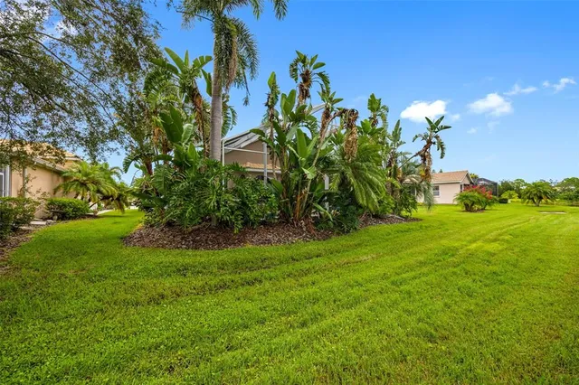 a view of a garden with a flower