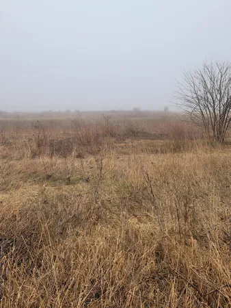 $175,000 | 62nd Street, Fennville, MI 49408