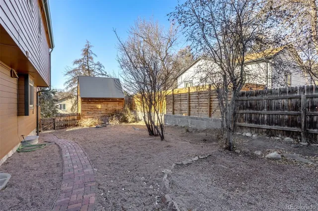 a view of a yard with trees