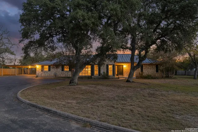 a view of a yard with a tree
