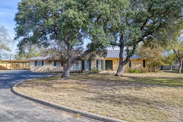 a view of a street with big trees