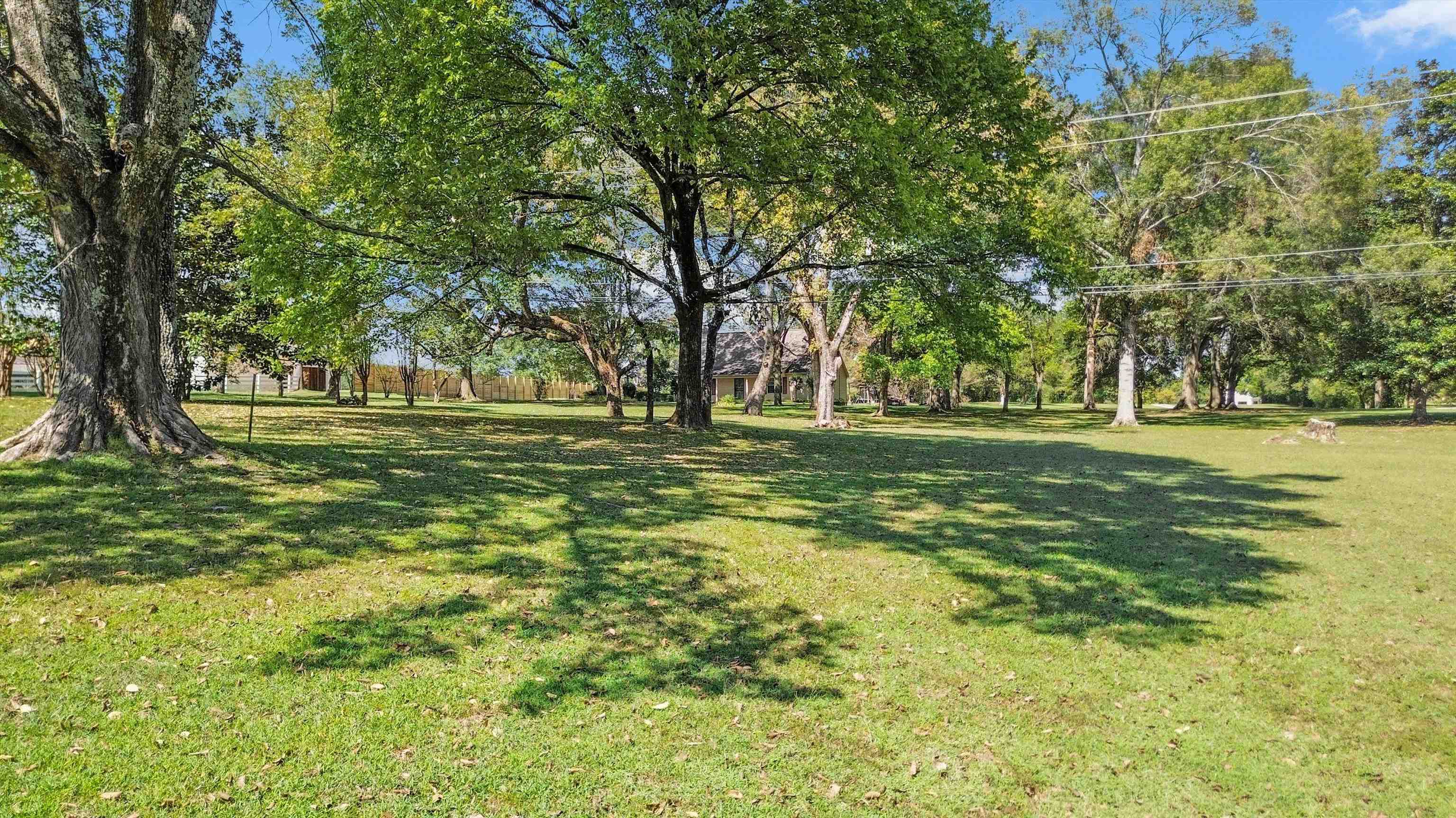 11670 Macon Road Eads, TN 38028 - Photo 34 of 40 a big yard with lots of green space and trees in the background