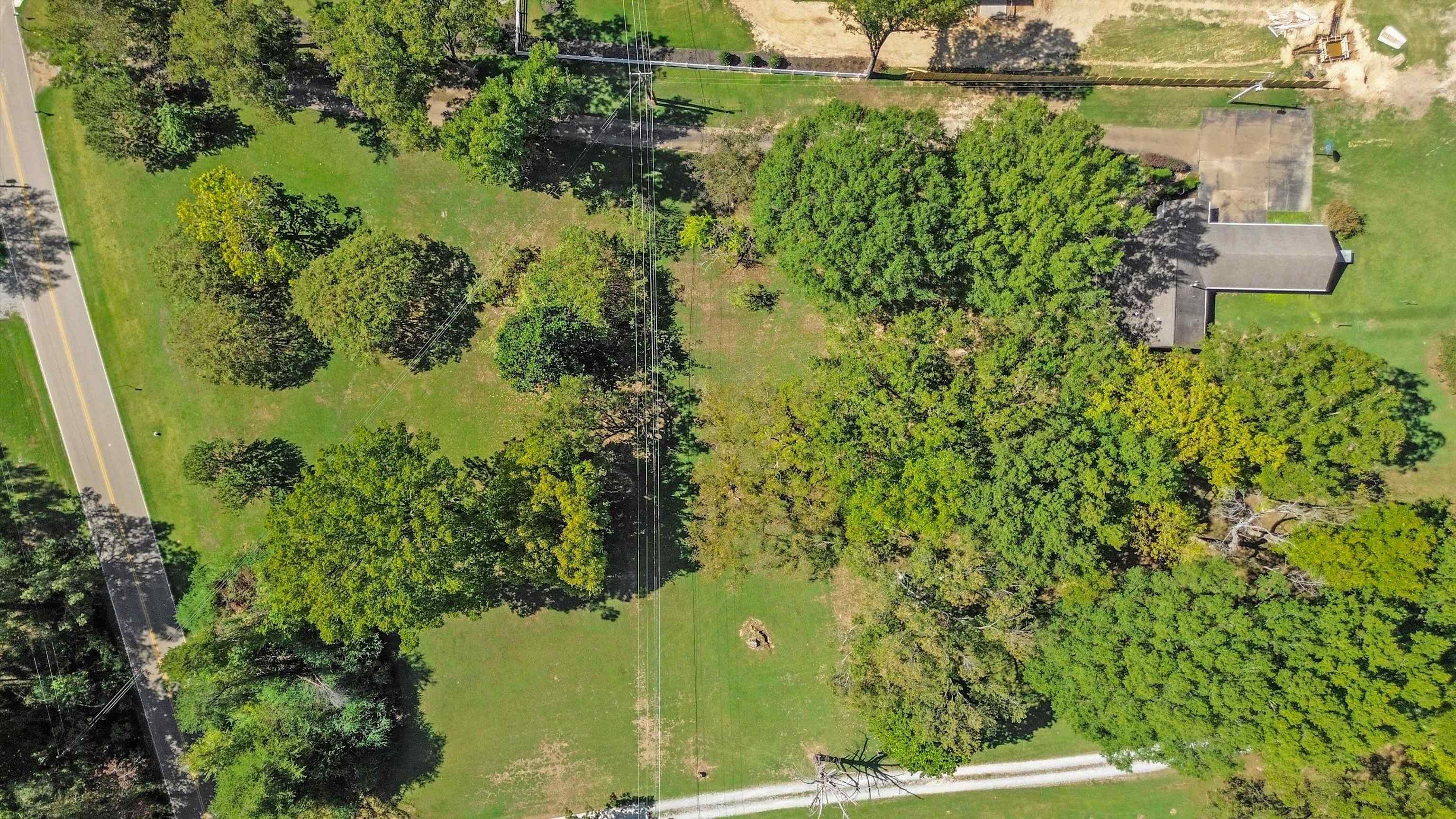 11670 Macon Road Eads, TN 38028 - Photo 39 of 40 a view of a garden with plants