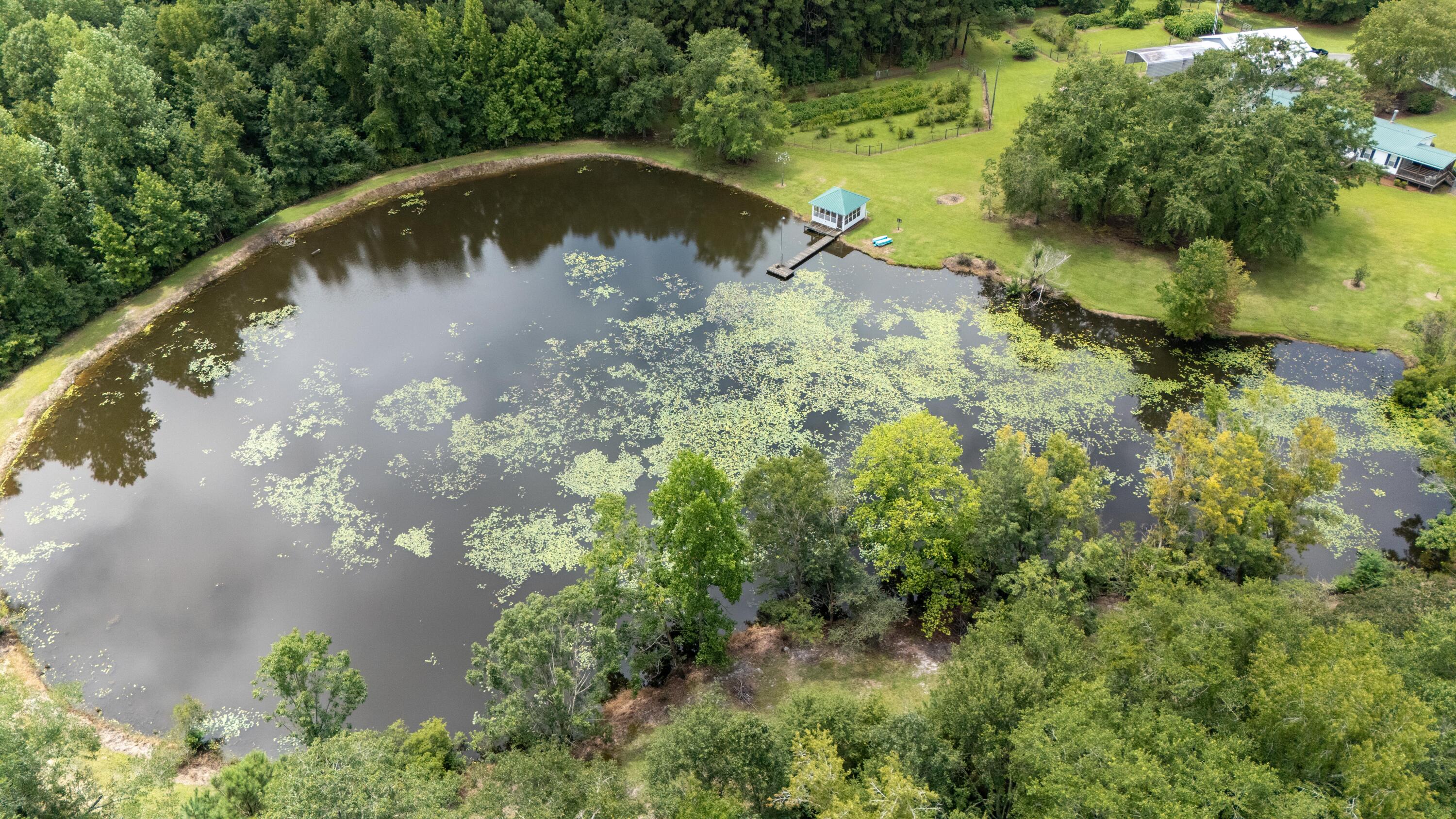 180 State Rd S-38-1893 Orangeburg, SC 29115 - Photo 64 of 73 riversturn1