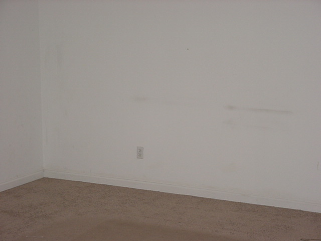 679 Lebanon Road Northeast Cleveland, TN 37323 - Photo 5 of 7 Additional Photo