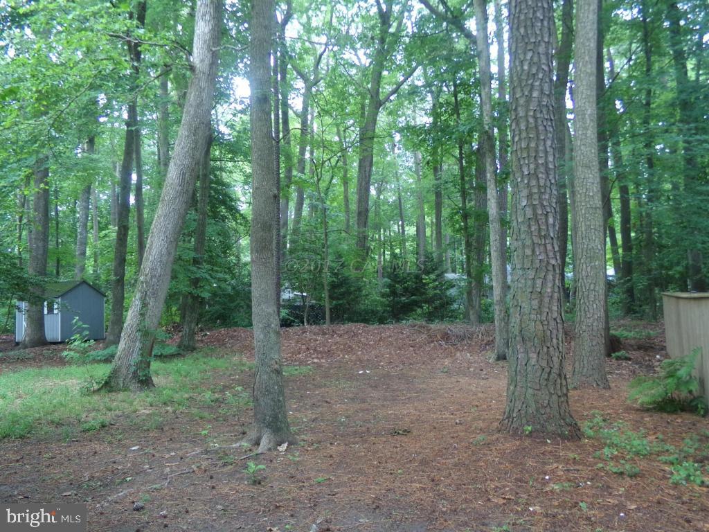 134 Pinehurst Road Ocean Pines, MD 21811 - Photo 14 of 27
