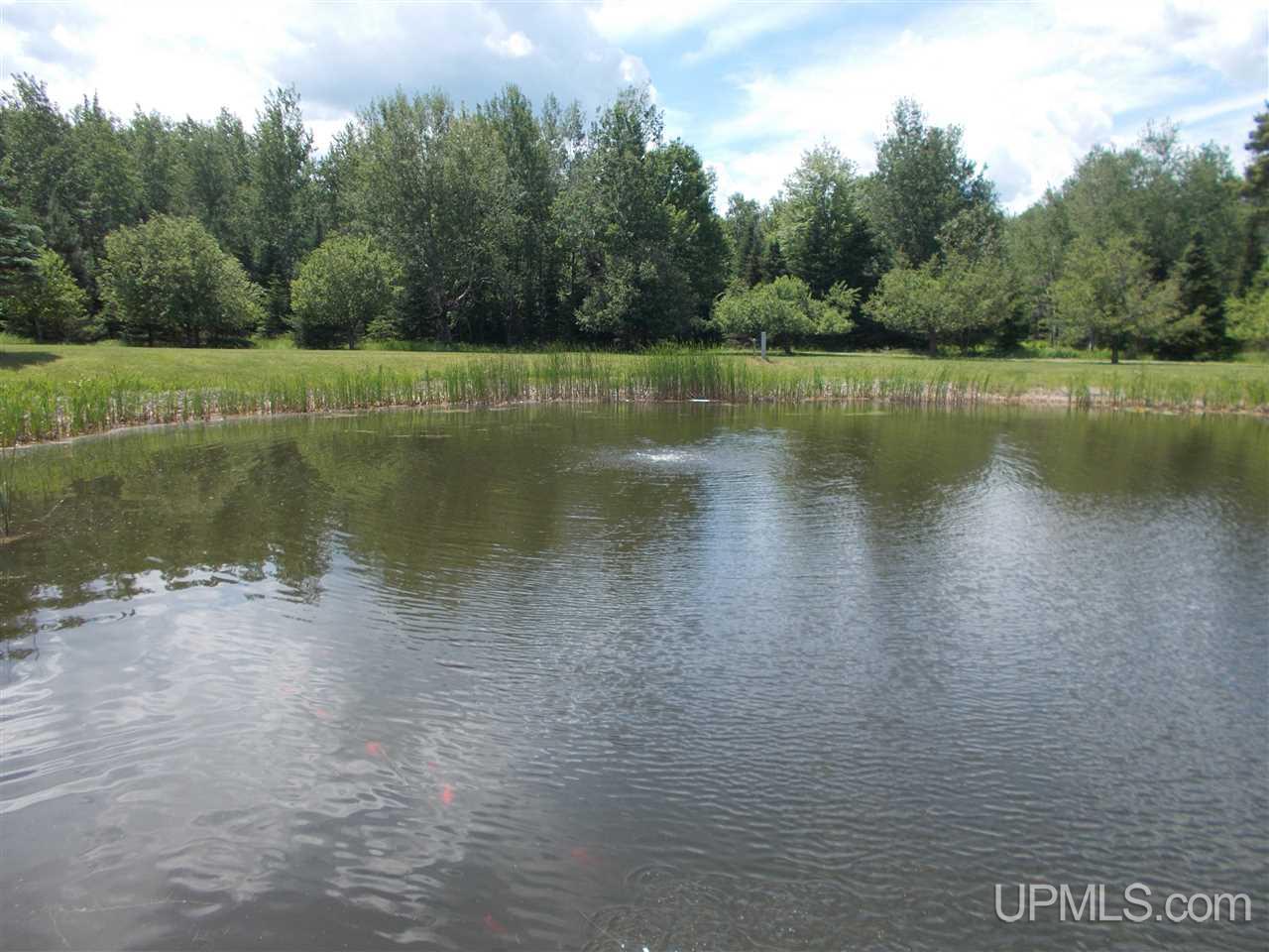 1790 9th Road Bark River, MI 49807 - Photo 35 of 49
