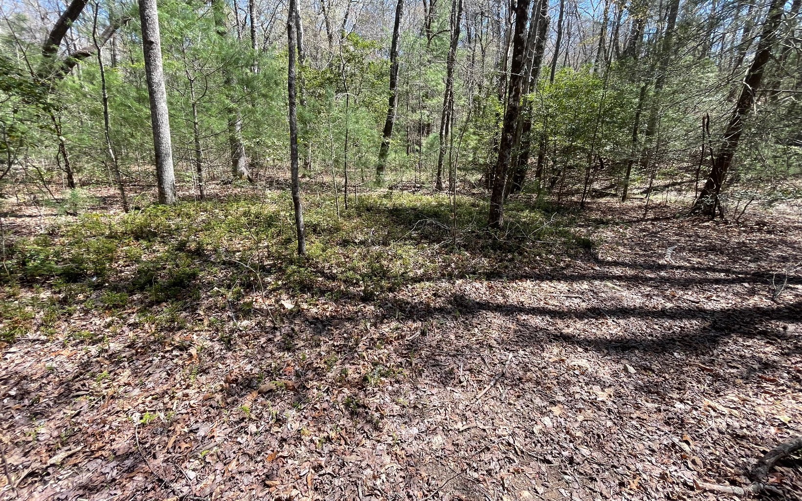22-ac Valley Branch Road Blue Ridge, GA 30513 - Photo 24 of 74 Additional View