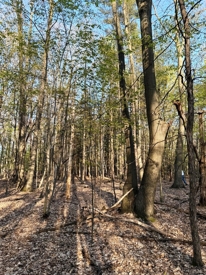 0 West Adams Road Hesperia, MI 49421 - Photo 46 of 74