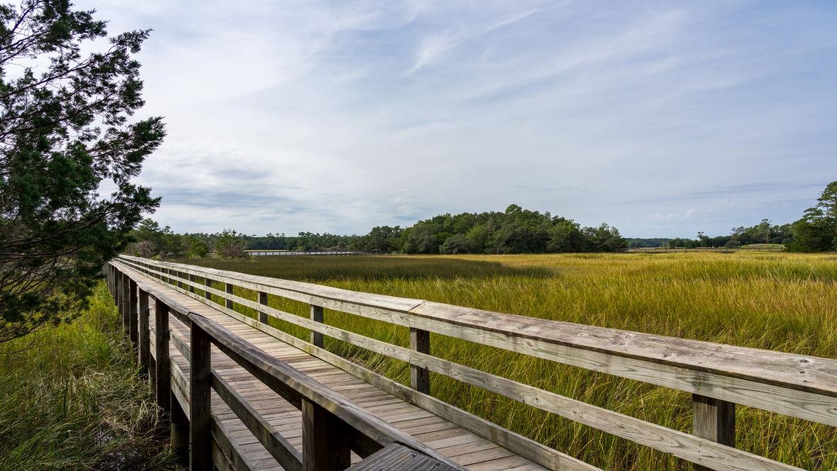268 Long Beard Way Loris, SC 29569 - Photo 34 of 40