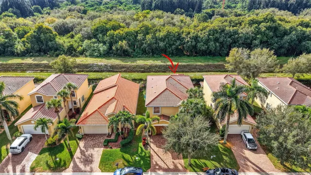 an aerial view of a house with a yard and potted plants