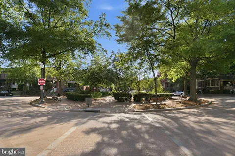 a view of a park with bench and trees