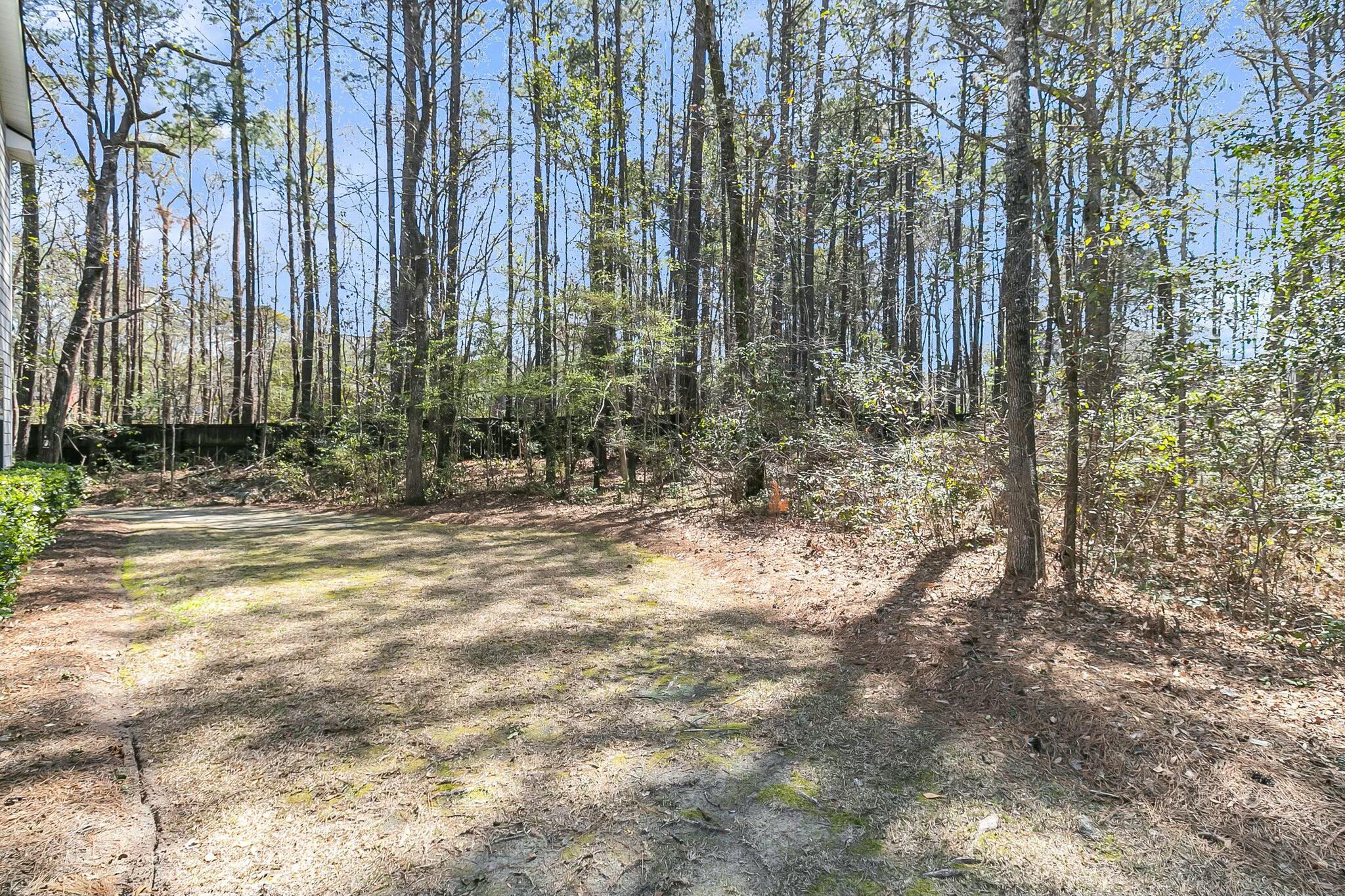 5000 Hay Bale Court Summerville, SC 29485 - Photo 44 of 53 tempImage6vLGDa